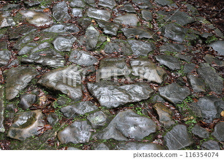 Kumano Kodo Daimonzaka 116354074