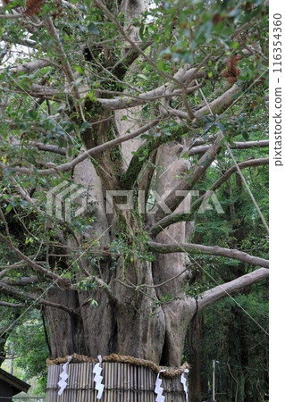 Kumano Hayatake Taisha Kumano Hayatake Taisha 116354360