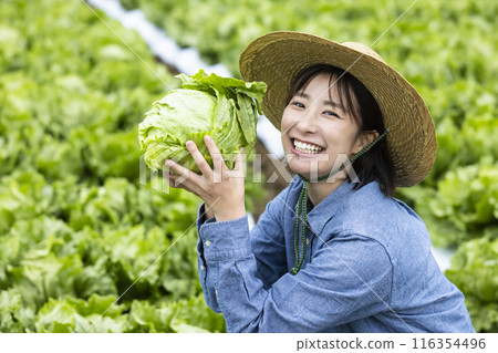 Women with harvested vegetables Women with harvested vegetables 116354496