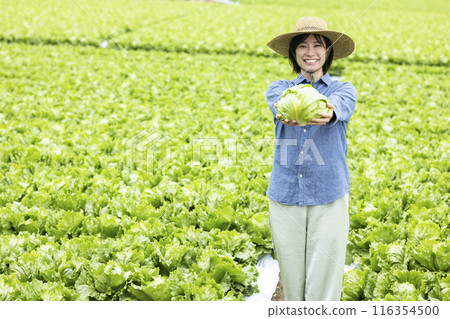 婦女與收穫的蔬菜 婦女與收穫的蔬菜 116354500