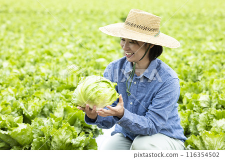 Women with harvested vegetables Women with harvested vegetables 116354502