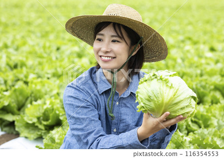 Women with harvested vegetables Women with harvested vegetables 116354553