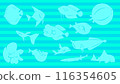 藍色鬆散的魚背景圖 116354605
