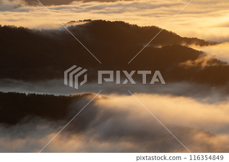 被雲海的壯觀景色所震撼 被雲海的壯觀景色所震撼 116354849