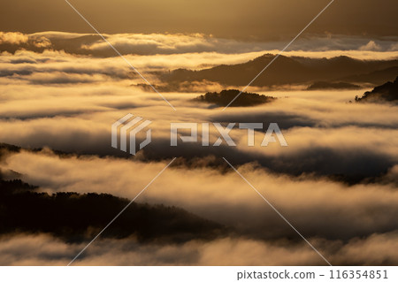 被雲海的壯觀景色所震撼 116354851