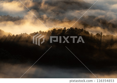 Be moved by the magnificent sea of clouds 116354853