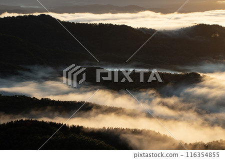 被雲海的壯觀景色所震撼 被雲海的壯觀景色所震撼 116354855