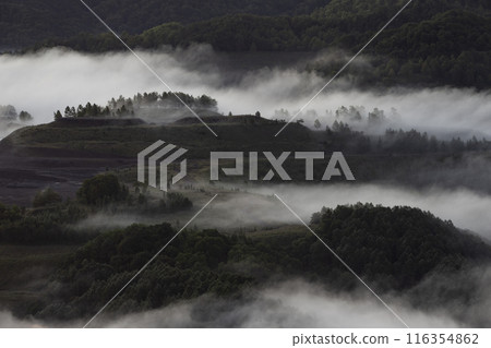 被雲海的壯觀景色所震撼 被雲海的壯觀景色所震撼 116354862