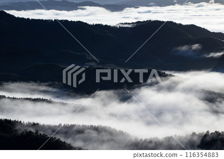 Be moved by the magnificent sea of clouds Be moved by the magnificent sea of clouds 116354883