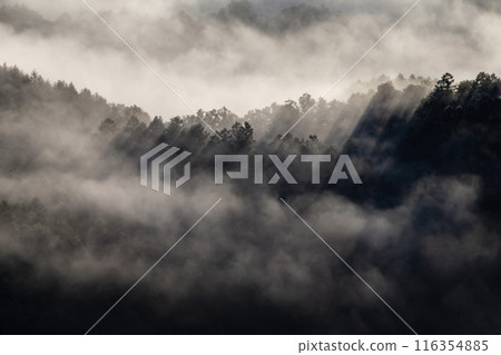 被雲海的壯觀景色所震撼 116354885