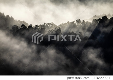 Be moved by the magnificent sea of clouds 116354887