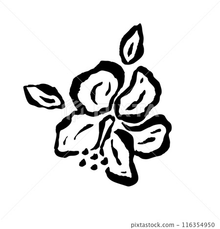 Inky abstract hibiscus flower sketch isolated on white 116354950