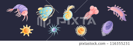 Plankton Diverse Water Organism Free Floating on Dark Background Vector Set 116355231