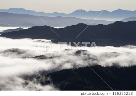 Be moved by the magnificent sea of clouds 116355238