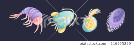 Plankton Diverse Water Organism Free Floating on Dark Background Vector Set 116355239