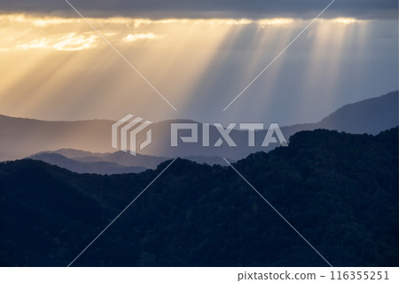 Be moved by the magnificent sea of clouds Be moved by the magnificent sea of clouds 116355251