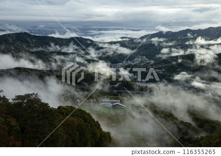 Be moved by the magnificent sea of clouds 116355265