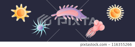 Plankton Diverse Water Organism Free Floating on Dark Background Vector Set Plankton Diverse Water Organism Free Floating on Dark Background Vector Set 116355266