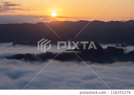 被雲海的壯觀景色所震撼 116355276