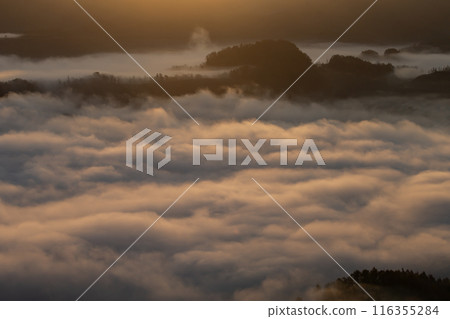 Be moved by the magnificent sea of clouds 116355284