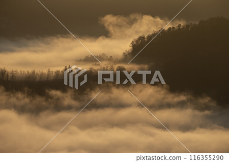 Be moved by the magnificent sea of clouds Be moved by the magnificent sea of clouds 116355290