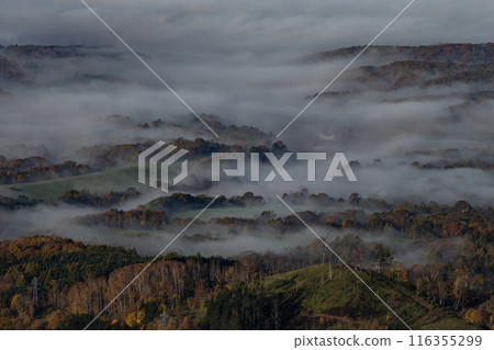 被雲海的壯觀景色所震撼 116355299