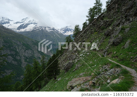 Spectacular trails in the Swiss Alps. Spectacular trails in the Swiss Alps. 116355372