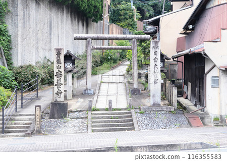 Torii gates on the approach to Hyuga Shrine in Kyoto Torii gates on the approach to Hyuga Shrine in Kyoto 116355583