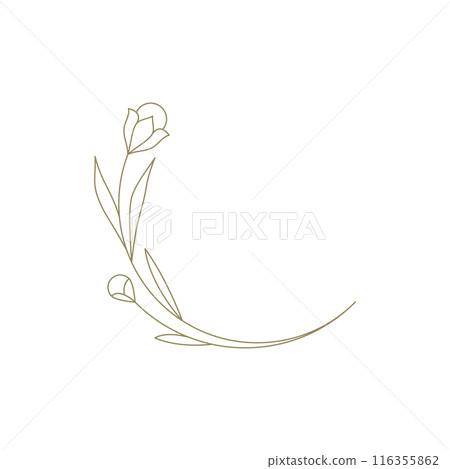 Curved organic flower elegant natural blossom line art decor element for simple design vector Curved organic flower elegant natural blossom line art decor element for simple design vector 116355862