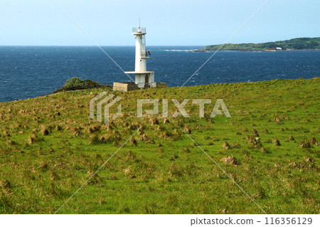 Yobuko, Karatsu City "Suginohara Pasture" on Kabe Island. A white lighthouse and the blue waters of the Genkai Sea. Yobuko, Karatsu City "Suginohara Pasture" on Kabe Island. A white lighthouse and the blue waters of the Genkai Sea. 116356129