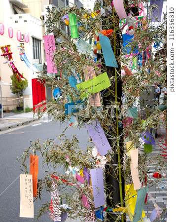 Shitamachi Tanabata Festival, Tokyo 116356310