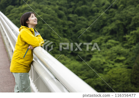 A young woman in nature A young woman in nature 116356477