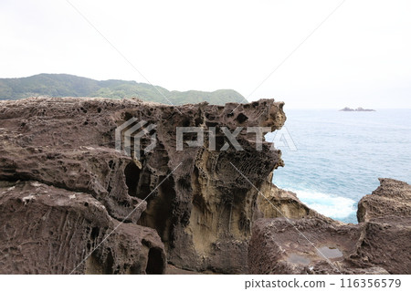 熊野七裡禦浜鬼城獅子岩 熊野七裡禦浜鬼城獅子岩 116356579