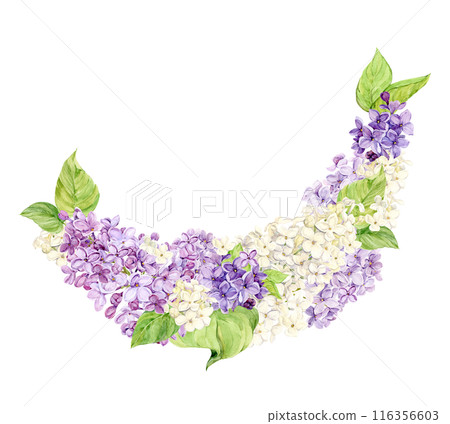 Watercolor illustration of lilac. Composition of purple and white syringa with leaves, flowers and buds. Fragrant spring flower for a wedding invitation, greeting card. 116356603