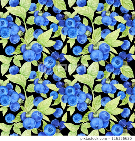 Blueberry watercolor pattern. Seamless pattern of ripe berries on a dark background. Botanical hand drawn illustration for fabric, textile, wallpaper, wrapping paper. Blueberry watercolor pattern. Seamless pattern of ripe berries on a dark background. Botanical hand drawn illustration for fabric, textile, wallpaper, wrapping paper. 116356620