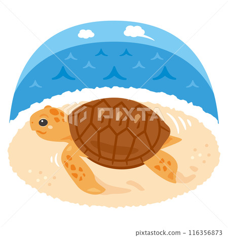 Sea turtle walking on the beach Sea turtle walking on the beach 116356873