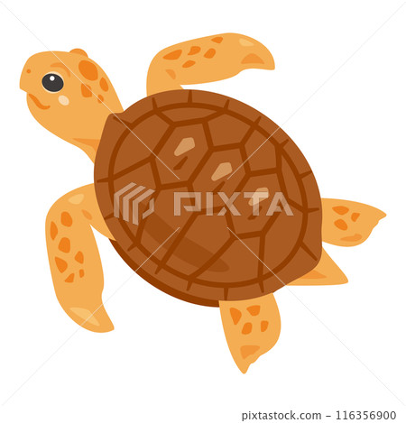 海龜 海龜 116356900