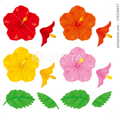 Hibiscus set 2 116356917