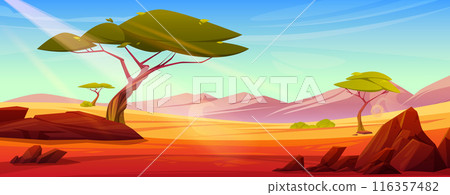 African savannah desert landscape African savannah desert landscape 116357482