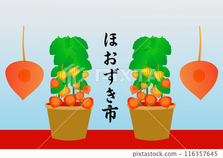 奇克斯市 奇克斯市 116357645