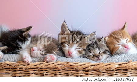 This image captures a serene quartet of sleeping kittens nestled in a basket, their gentle breathing and soft fur evoking a sense of peace and comfort 116357658
