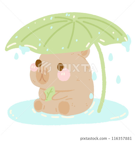 Hand drawn illustration kawaii cute pastel Capybara under a large leaf in the rain 116357881