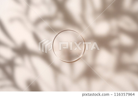 Cosmetic product presentation mockup scene made with empty circle glass podium on beige background with leaves shadow. Composition with carefree summer mood. 116357964