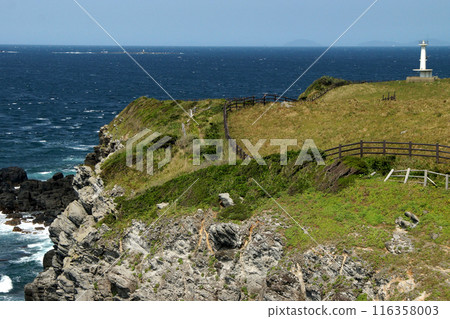 Yobuko, Karatsu City - Kabeshima's "Suginohara Pasture" and the blue waters of the Genkai Sea 116358003