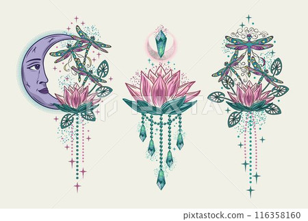 Mysterious labels with fantasy dragonfly, lotus flower, moon, text. Vintage illustrations on white background. For clothing, apparel, T-shirts, surface decoration. 116358160