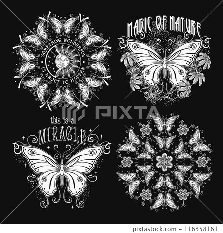 Summer labels with fantasy butterfly, chamomile flowers, text. Vintage monochrome illustrations on black background. For clothing, apparel, T-shirts, surface designs 116358161