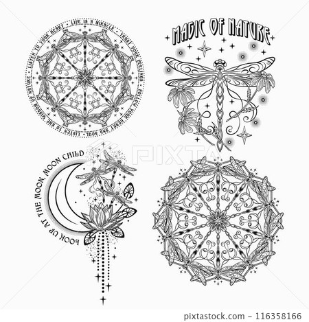 Mysterious labels with fantasy dragonfly, chamomile flower, moon, text. Vintage monochrome illustrations on white background. For clothing, apparel, T-shirts, surface decoration. Mysterious labels with fantasy dragonfly, chamomile flower, moon, text. Vintage monochrome illustrations on white background. For clothing, apparel, T-shirts, surface decoration. 116358166