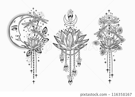 Mysterious labels with fantasy dragonfly, lotus flower, moon, text. Vintage monochrome illustrations on white background. For clothing, apparel, T-shirts, surface decoration. Mysterious labels with fantasy dragonfly, lotus flower, moon, text. Vintage monochrome illustrations on white background. For clothing, apparel, T-shirts, surface decoration. 116358167