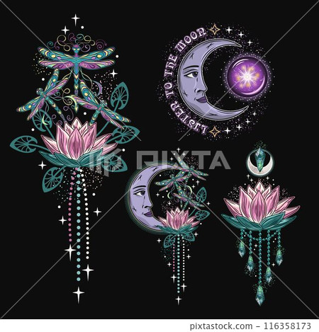 Mysterious labels with fantasy dragonfly, lotus flower, moon, text. Vintage illustrations on black background. For clothing, apparel, T-shirts, surface decoration. 116358173
