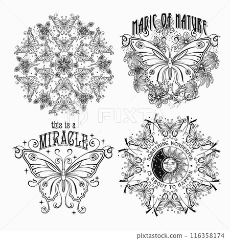 Summer labels with fantasy butterfly, chamomile flowers, text. Vintage monochrome illustrations on white background. For clothing, apparel, T-shirts, surface designs 116358174
